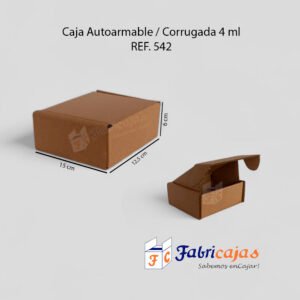 caja cofre ref 542