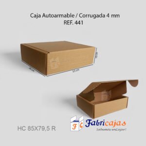 Cajas De Carton Kraft Autoarmables
